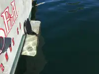 Тралер за продажба
