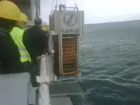 Работни лодки за продажба