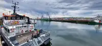 Катамаран за продажба