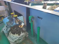 Контейнеровоз за продажба