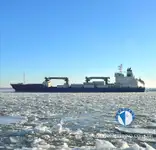 Хладилен кораб за продажба