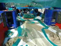 Trawler за продан