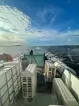 Контейнеровоз за продажба