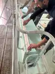 Работни лодки за продажба