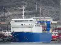 Транспортен кораб за насипни товари за продажба