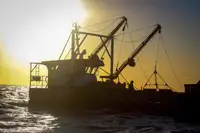 Работни лодки за продажба