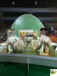 Ro-Ro кораб за продажба