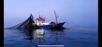 Trawler за продан