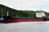 Насипен превозвач за продан