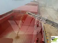 Транспортен кораб за насипни товари за продажба