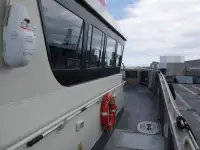 Катамаран за продажба