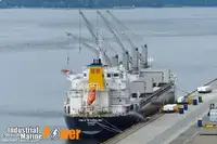 Транспортен кораб за насипни товари за продажба