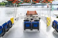 Ферибот за продажба