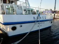Круизен кораб за продажба