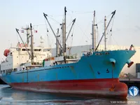 Хладилен кораб за продажба