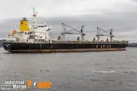 Транспортен кораб за насипни товари за продажба