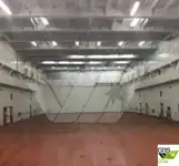Ro-Ro кораб за продажба