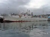 Дълголинеен тралер за продажба