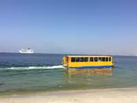 Амфибия за продан