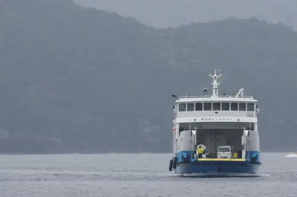 Кораб RORO за продан