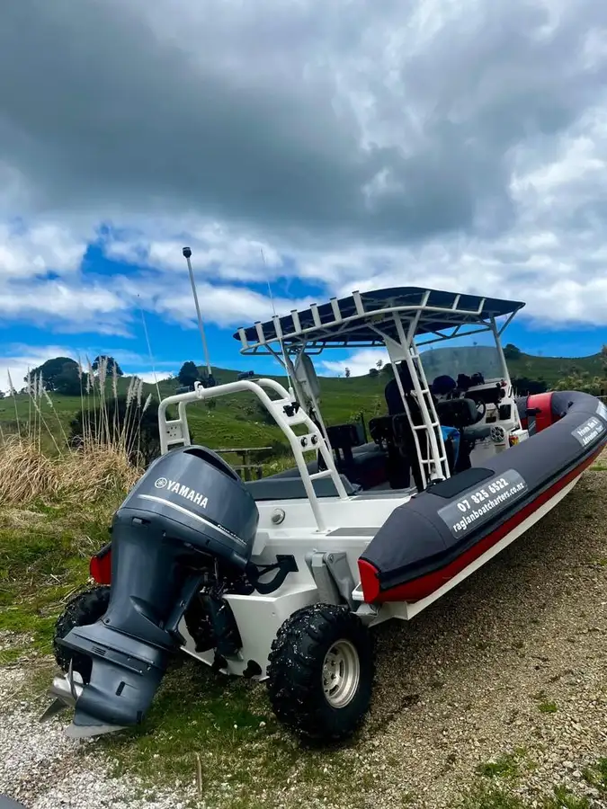 Амфибия за продан