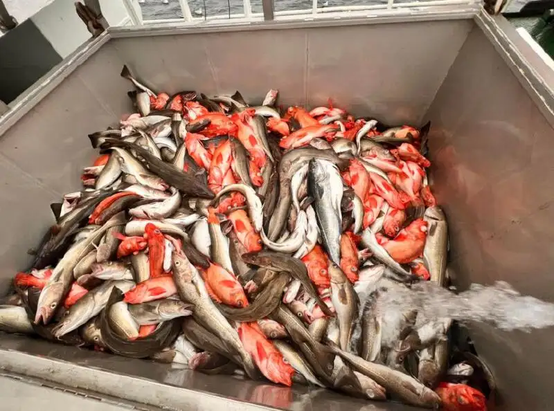 Риболовен траулер за продан