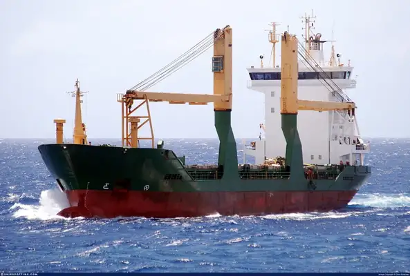 Bulk carrier for sale