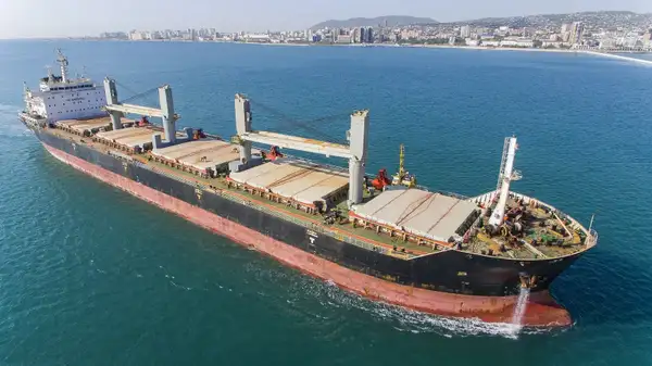 Bulk carrier for sale