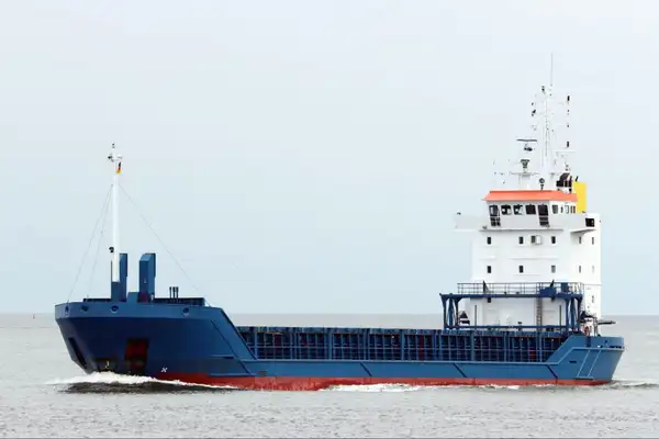 Bulk carrier for sale