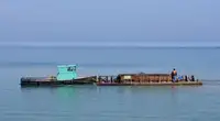 Работни лодки за продан