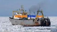 Хладилен кораб за продан