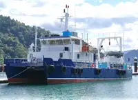 Катамаран за продан