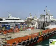 кораб за вятърен парк за продан