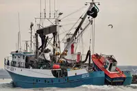 сейнер за продан