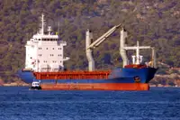 Насипен превозвач за продан