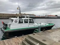 Пилотска лодка за продан